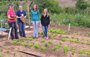 dia de campo, olericultura, guarapuava, campo real, engenharia agronômica
