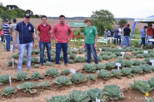 dia de campo, olericultura, guarapuava, campo real, engenharia agronômica
