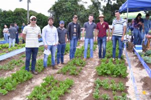 dia de campo, olericultura, guarapuava, campo real, engenharia agronômica