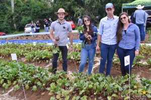 dia de campo, olericultura, guarapuava, campo real, engenharia agronômica