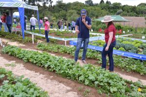 dia de campo, olericultura, guarapuava, campo real, engenharia agronômica