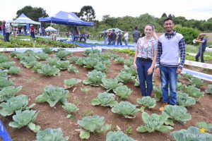dia de campo, olericultura, guarapuava, campo real, engenharia agronômica