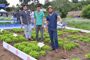 dia de campo, olericultura, guarapuava, campo real, engenharia agronômica