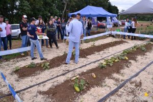 dia de campo, olericultura, guarapuava, campo real, engenharia agronômica