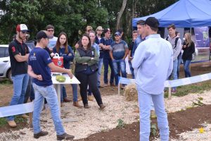 dia de campo, olericultura, guarapuava, campo real, engenharia agronômica