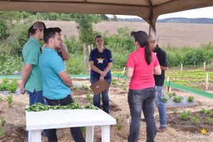 dia de campo, olericultura, guarapuava, campo real, engenharia agronômica