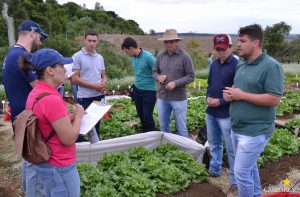 dia de campo, olericultura, guarapuava, campo real, engenharia agronômica
