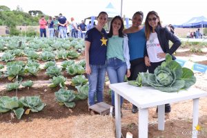 dia de campo, olericultura, guarapuava, campo real, engenharia agronômica