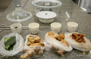 Plantas Alimentícias Não Convencionais