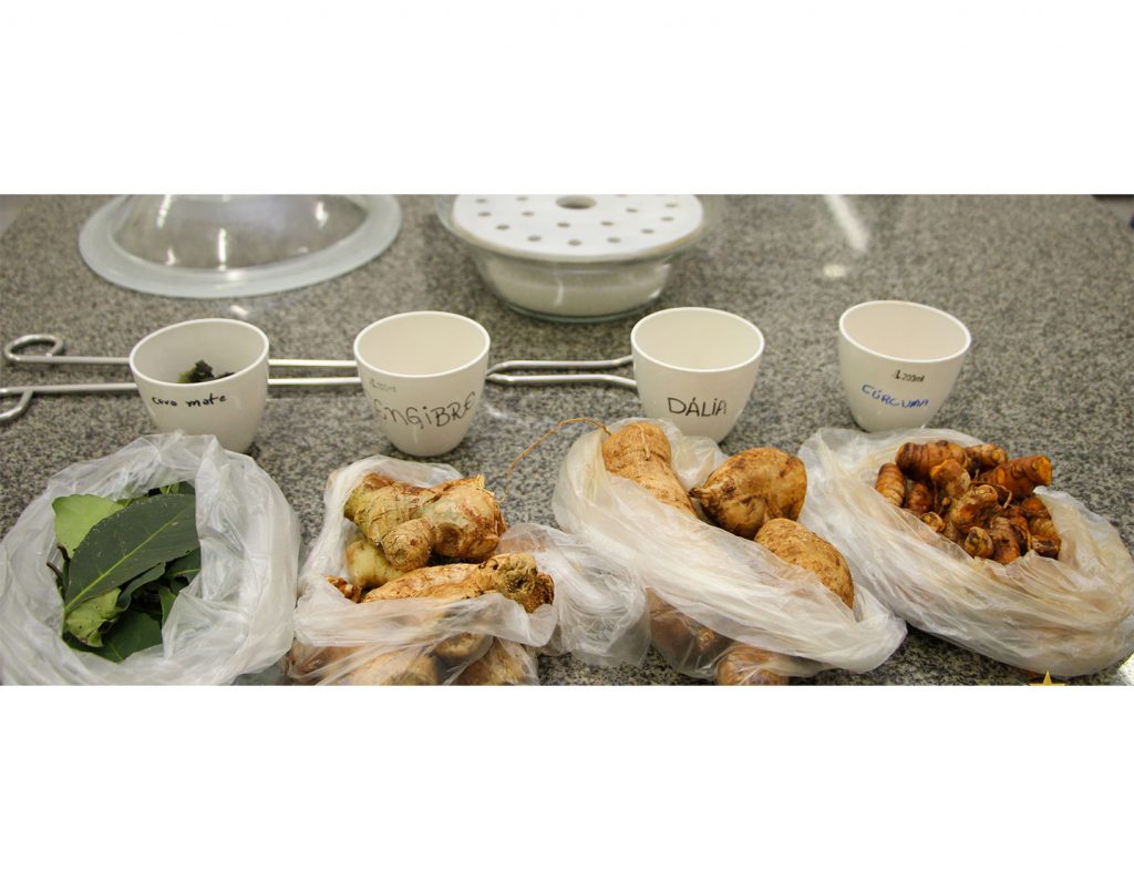 Plantas Alimentícias Não Convencionais