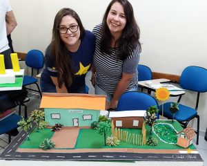 Administração em Saúde Pública