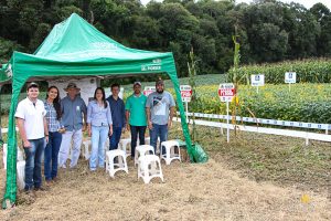 Dia de Campo de Verão, Guarapuava, Faculdade, Campo Real, Engenharia Agronômica