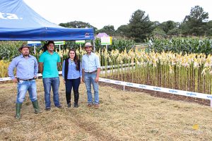 Dia de Campo de Verão, Guarapuava, Faculdade, Campo Real, Engenharia Agronômica