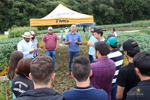 Dia de Campo de Verão, Guarapuava, Faculdade, Campo Real, Engenharia Agronômica