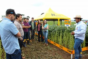 Dia de Campo de Verão, Guarapuava, Faculdade, Campo Real, Engenharia Agronômica