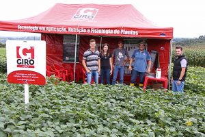 Dia de Campo de Verão, Guarapuava, Faculdade, Campo Real, Engenharia Agronômica
