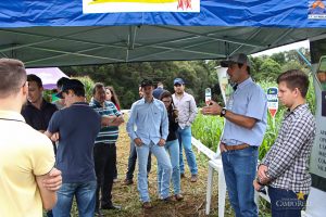 Dia de Campo de Verão, Guarapuava, Faculdade, Campo Real, Engenharia Agronômica