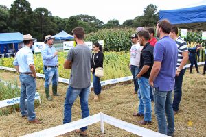 Dia de Campo de Verão, Guarapuava, Faculdade, Campo Real, Engenharia Agronômica