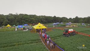 Dia de Campo de Verão, Guarapuava, Faculdade, Campo Real, Engenharia Agronômica