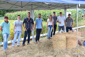 Dia de Campo de Verão, Guarapuava, Faculdade, Campo Real, Engenharia Agronômica