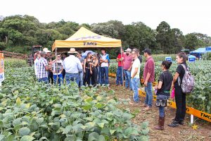 Dia de Campo de Verão, Guarapuava, Faculdade, Campo Real, Engenharia Agronômica