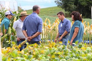 Dia de Campo de Verão, Guarapuava, Faculdade, Campo Real, Engenharia Agronômica