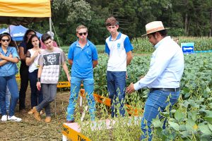 Dia de Campo de Verão, Guarapuava, Faculdade, Campo Real, Engenharia Agronômica