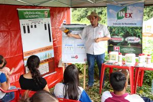 Dia de Campo de Verão, Guarapuava, Faculdade, Campo Real, Engenharia Agronômica