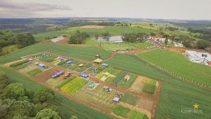 Dia de Campo de Verão, Guarapuava, Faculdade, Campo Real, Engenharia Agronômica
