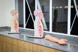 Laboratório de Semiologia e Semiótica