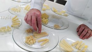 Optativa de Gastronomia