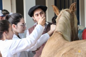 Medicina Veterinária, Osteologia, Pintura, Cavalo