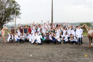 Medicina Veterinária, Osteologia, Pintura, Cavalo