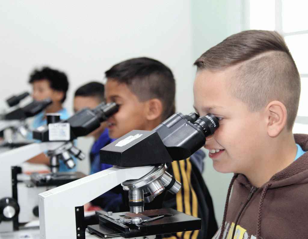 Grupo de Estudos desenvolve aula prática com alunos de Guarapuava