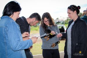 CampoTech Parque do Lago Faculdade Campo Real Guarapuava