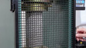 Concurso de Resistência de Concreto (2)