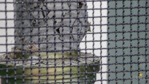 Concurso de Resistência de Concreto (2)