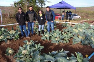 Dia de Campo de Olericultura