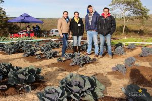 Dia de Campo de Olericultura