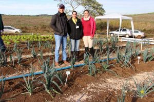 Dia de Campo de Olericultura