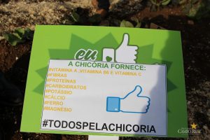 Dia de Campo de Olericultura