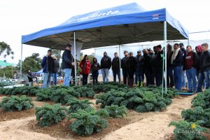 Dia de Campo de Olericultura