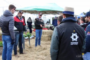 Dia de Campo de Olericultura