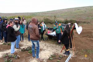 Dia de Campo de Olericultura