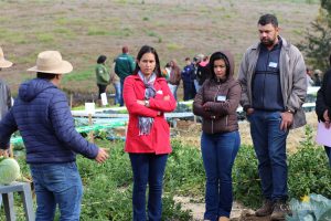 Dia de Campo de Olericultura