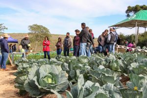 Dia de Campo de Olericultura