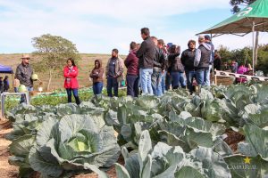 Dia de Campo de Olericultura