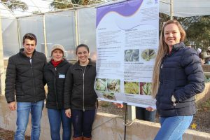 Dia de Campo de Olericultura