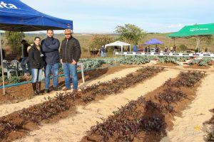 Dia de Campo de Olericultura