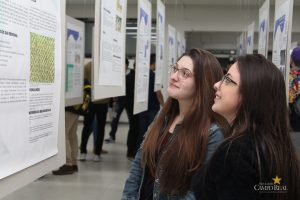 Exposição de Painéis Científicos